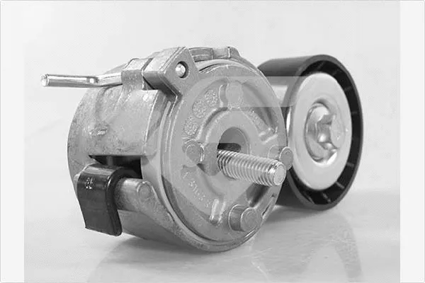 Tensioner Pulley, V-ribbed belt (T0621)