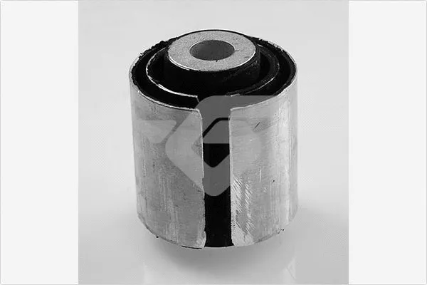 Bushing, axle beam (590302)