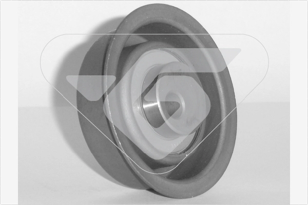 Tensioner Pulley, timing belt (HTG 254)
