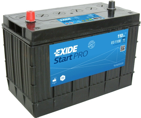 Starter Battery