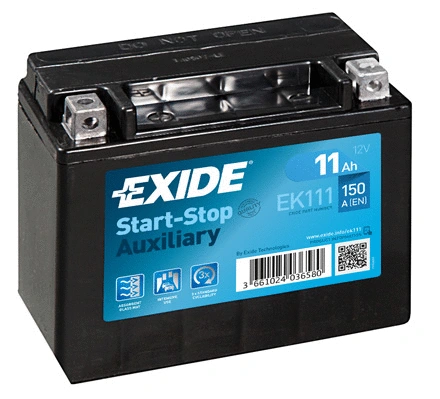 Starter Battery