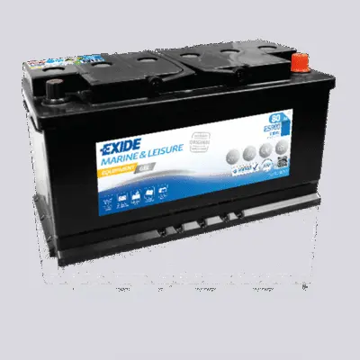 Starter Battery (ES900)
