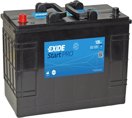 Starter Battery