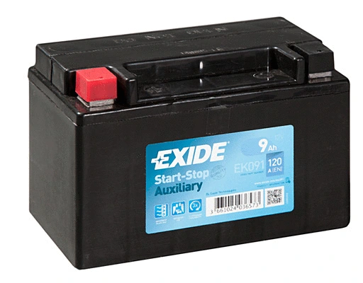 Starter Battery