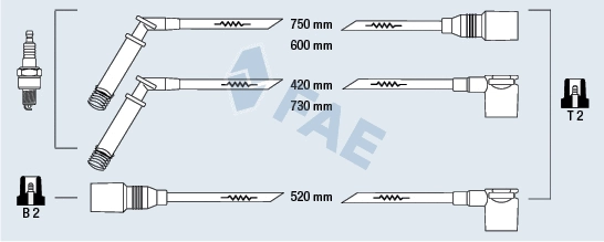 Ignition Cable Kit (83800)