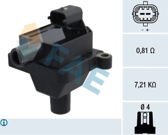 Ignition Coil (80313)