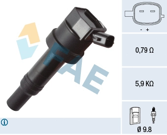 Ignition Coil (80333)