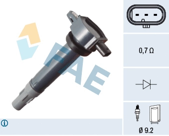 Ignition Coil (80489)