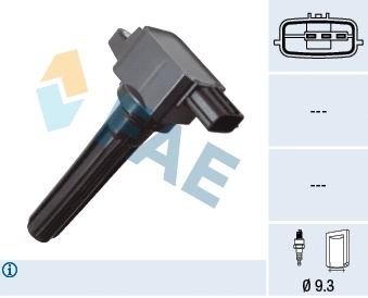 Ignition Coil (80481)