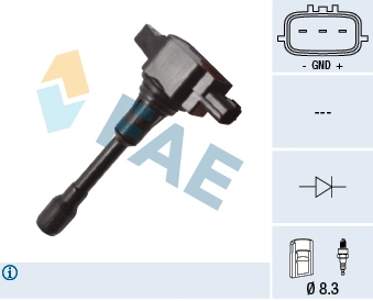 Ignition Coil (80375)
