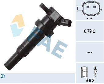 Ignition Coil (80314)
