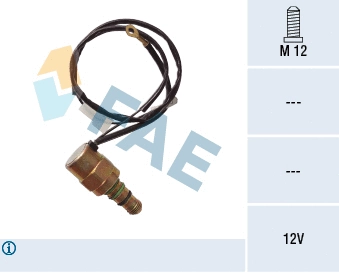 Fuel Cut-off, injection system (73104)