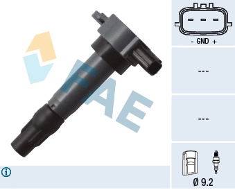 Ignition Coil (80339)