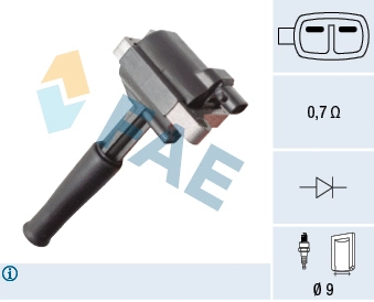 Ignition Coil (80487)