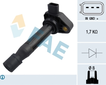 Ignition Coil (80300)