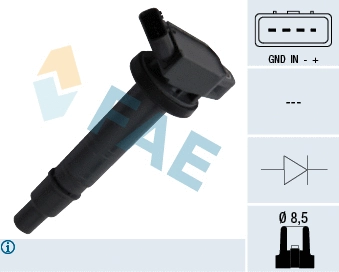 Ignition Coil (80301)