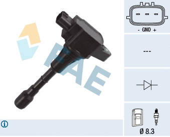 Ignition Coil (80372)