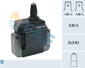 Ignition Coil (80250)