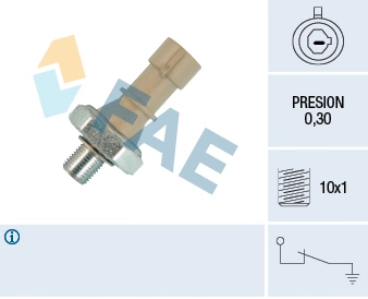 Oil Pressure Switch (12437)