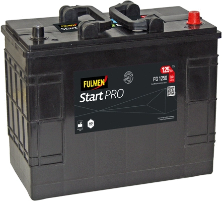 Starter Battery