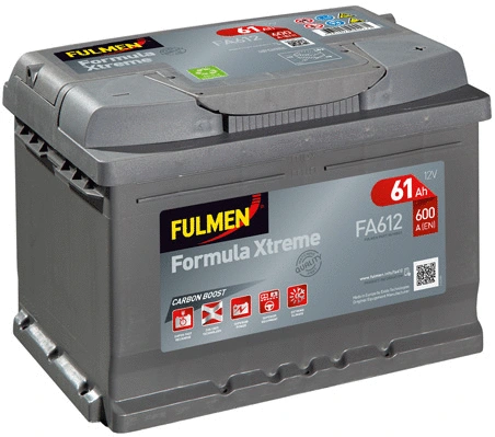 Starter Battery