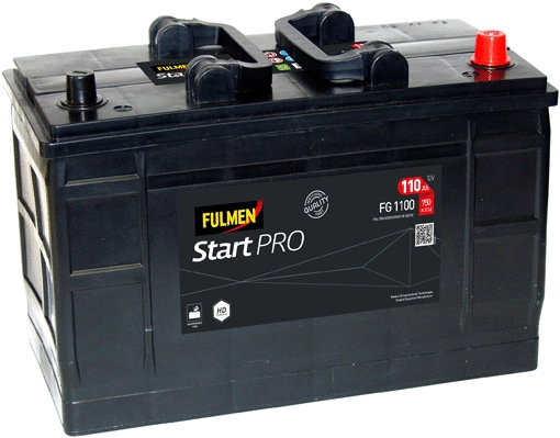 Starter Battery