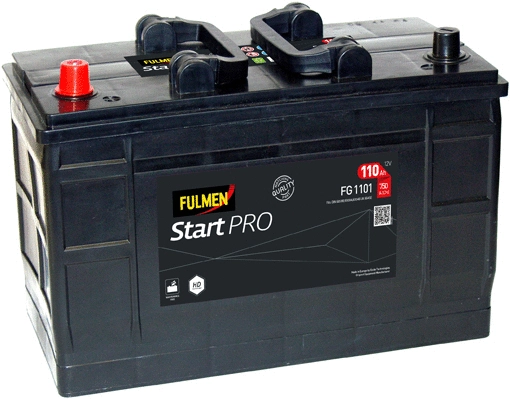 Starter Battery