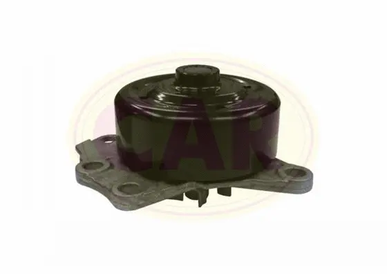 Water Pump, engine cooling (332584)
