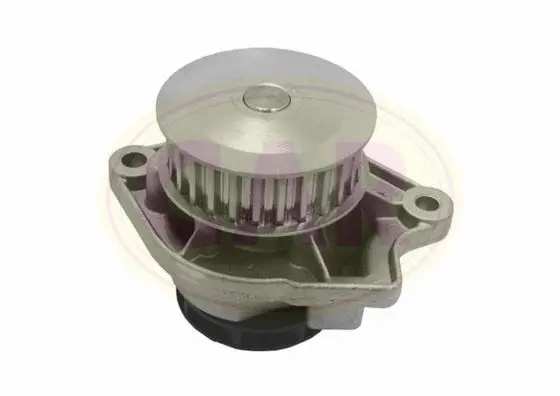 Water Pump, engine cooling (331150)