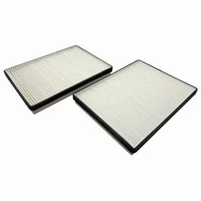 Filter, cabin air (17153F-X2)