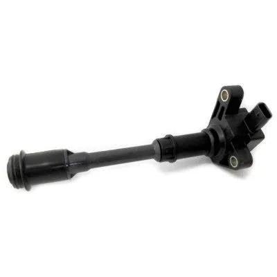 Ignition Coil (10768)