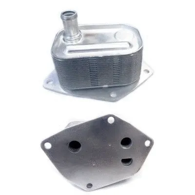 Oil Cooler, engine oil (95056)