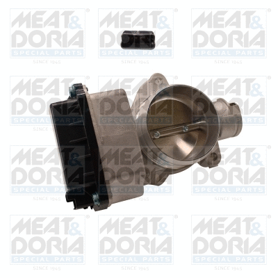 Throttle Body (89146E)