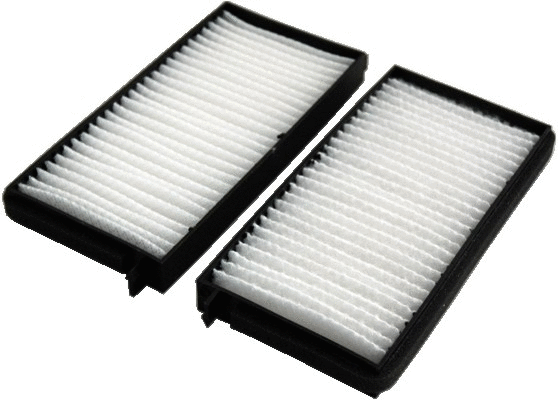 Filter, cabin air (17424F-X2)