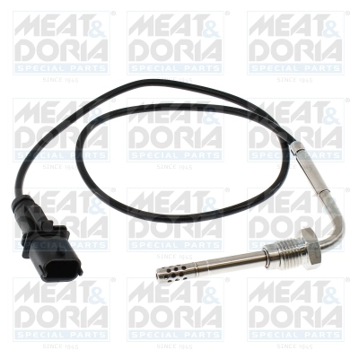 Sensor, exhaust gas temperature (12770)