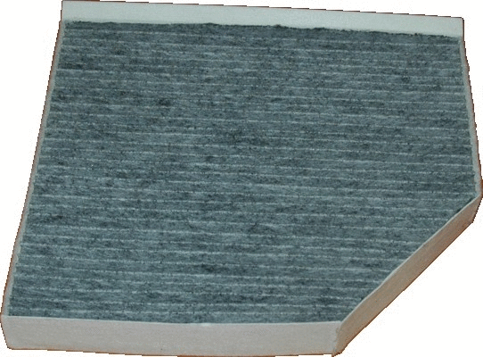 Filter, cabin air (17487K)