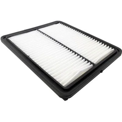 Air Filter (18144)