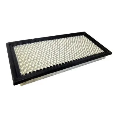 Air Filter (18351)