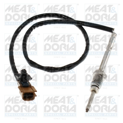Sensor, exhaust gas temperature (12185)