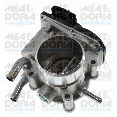 Throttle Body (89677)