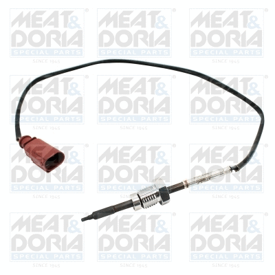 Sensor, exhaust gas temperature (12223E)