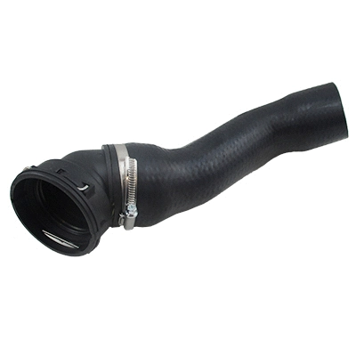 Charge Air Hose (96163)