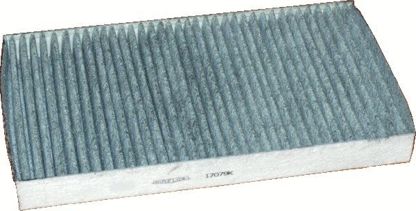 Filter, cabin air (17079K)