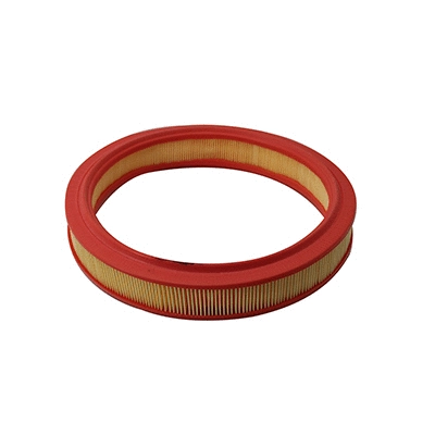 Air Filter (16366)