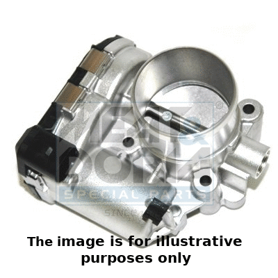 Throttle Body (89175R)