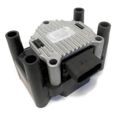 Ignition Coil (10307)