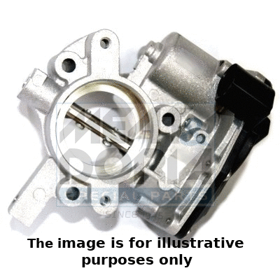 Throttle Body (89163R)
