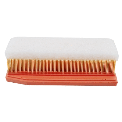 Air Filter (18700)