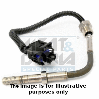 Sensor, exhaust gas temperature (12066E)