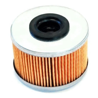 Fuel Filter (4230)